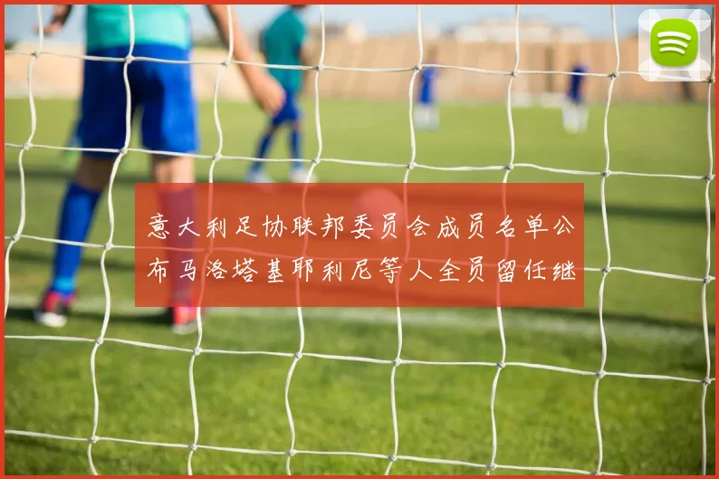 意大利足协联邦委员会成员名单公布马洛塔基耶利尼等人全员留任继续服务