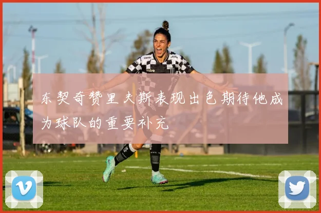 东契奇赞里夫斯表现出色期待他成为球队的重要补充
